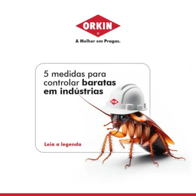 orkin-rs-baratas-verao