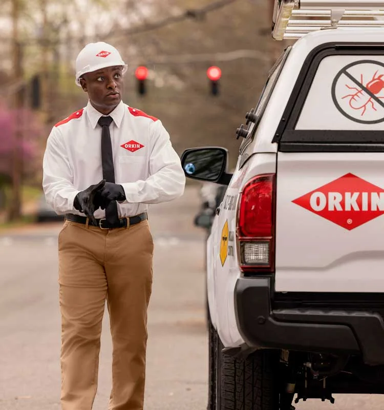 orkin-carro